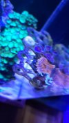 20211114_151553.jpg