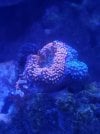 20210911_190404.jpg