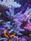 20211123_184936.jpg