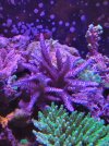 20211123_185029.jpg