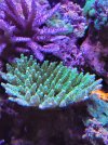 20211123_185037.jpg