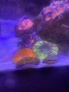 3E3E6180-C877-45CE-A3BE-56D14C1A57D4.jpeg