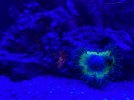 IMG_6890.jpeg