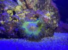 IMG_6879.jpeg