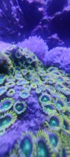 IMG_20211213_210644.jpg