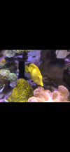 FB3C4663-A414-4522-AAC4-4DC019996A90.png