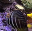 0383BB80-17BE-4038-8264-C62AAA321723.jpeg