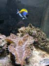 IMG_20170809_132717.jpg