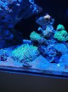 20210630_175459.jpg