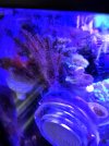 IMG_20211225_123614~2.jpg
