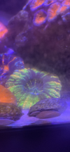 44B0544E-6272-45FD-96AF-BCC2A5DC5C6E.png
