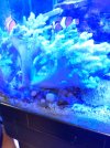 IMG_20211229_180649.jpg