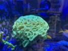 IMG_5739.jpeg