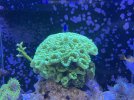 IMG_5740.jpeg