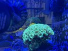 IMG_5741.jpeg