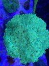 IMG_5742.jpeg