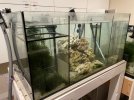 sump_2.jpg