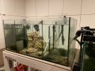 sump_3.jpg