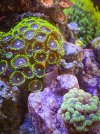 2868D020-4083-43AA-9859-1EB41B46F702.jpeg
