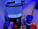 image_50444289.JPG