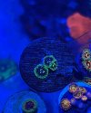 075AF0E0-D05C-4A88-A526-50B733DDD392.jpeg