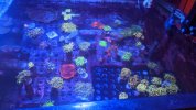 PXL_20220109_174202640.jpg