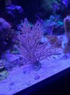 20220119_095433.jpg