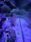 20220119_115122.jpg