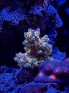 E619553D-3199-452C-99CF-8611CC1887C2.jpeg