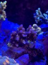 EE323407-25F7-41B1-AE73-8195386AA516.jpeg