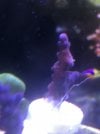 6B472EA7-281A-4397-A7DC-BCEBA5AD6188.jpeg
