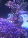 E77572DF-C6A3-4D77-937E-DF13FDADC6D8.jpeg