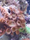 20220120_144025.jpg