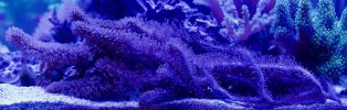 7A3BE767-C60A-46DE-B394-59561705F9ED.jpeg