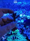 20220213_164708.jpg