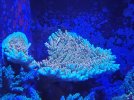 20220113_204631.jpg