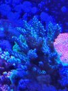20220113_204343.jpg