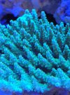 20220113_204248.jpg