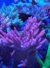 20220113_204124.jpg