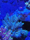 20220113_204133.jpg