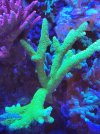 20220113_204118.jpg