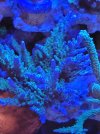20220113_204105.jpg