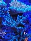 20220113_204043.jpg