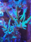 20220113_204316.jpg