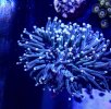 44D85286-FA30-4F78-8B02-CB7DF0E5BBC1.jpeg