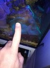 20220216_174955.jpg