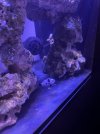2B55273D-0864-42DE-9D0A-651121D71EB9.jpeg