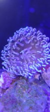20220228_122159.jpg