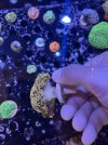 45D4FF65-9CF8-471C-A884-602983A6C469.jpeg