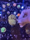 0C4489DE-EE62-46E1-9897-E549D275716D.jpeg